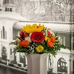 Bristol Hotel 4*