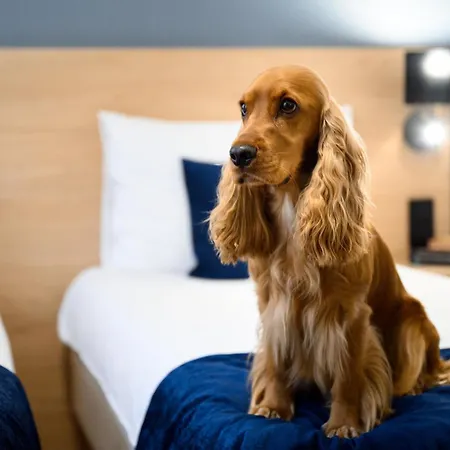 Hotell Bristol